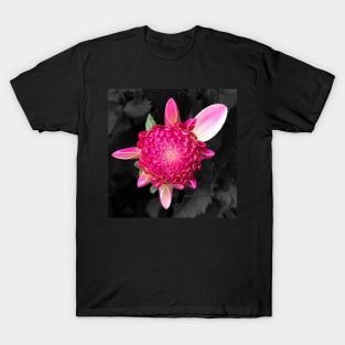 Buddy Dahli T-Shirt